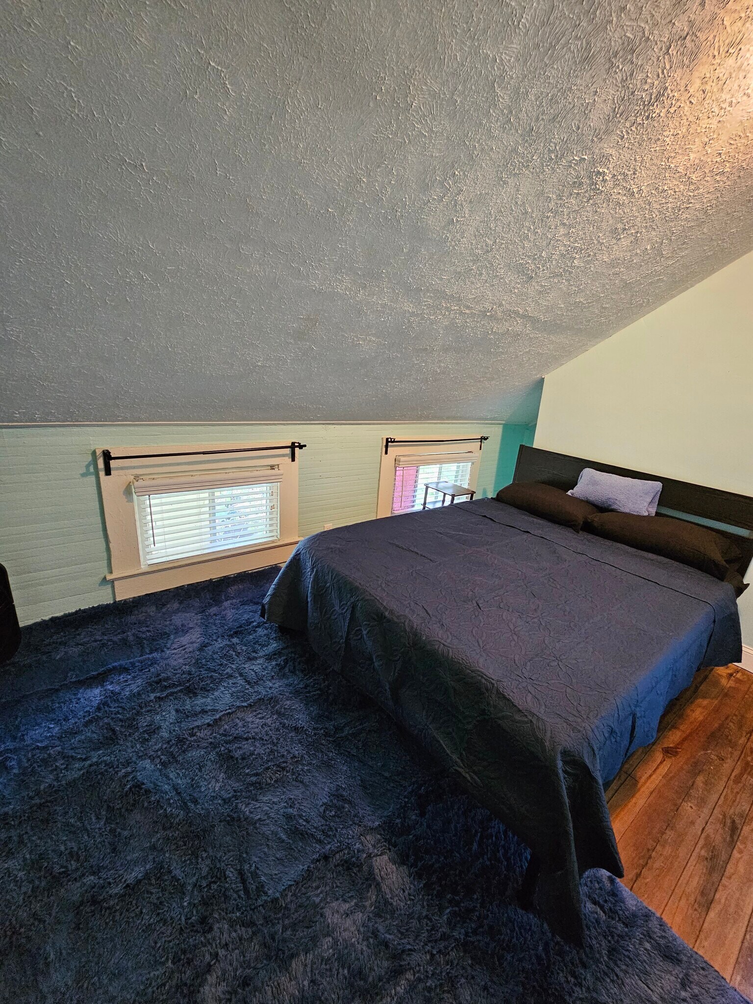 3 beds in king bedroom, 1 bed in the second bedroom and 2 sofa beds in living room--Sleeps 6! - 607 Gaskill St SE