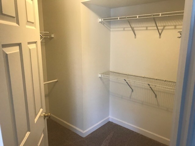 Building Photo - 5004 Cameo Ter