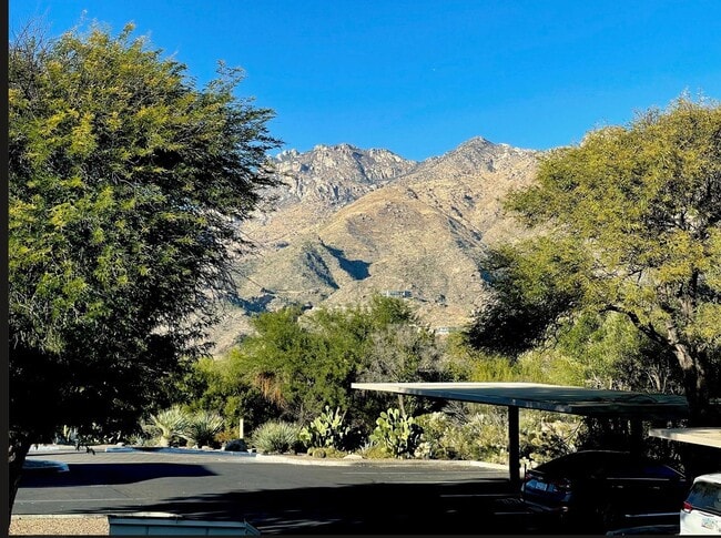 Building Photo - Furnished Modern Living at The Greens