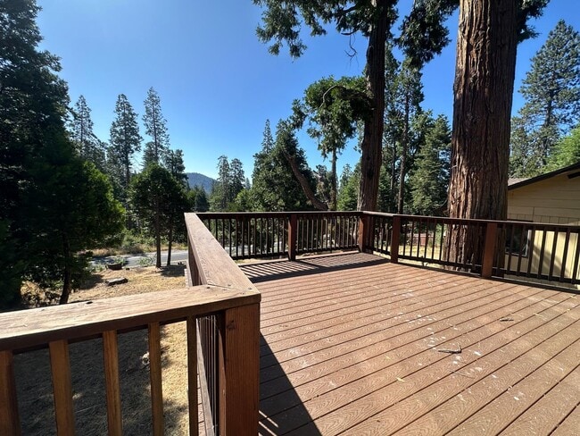 Building Photo - Have you checked out those windows?!?! Ado...