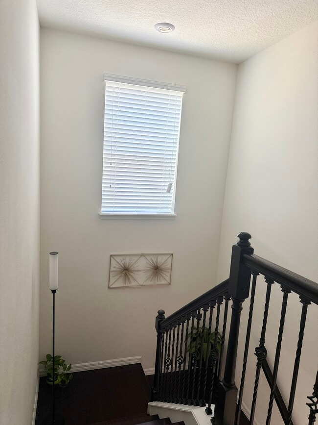 Building Photo - 12616 Salomon Cove Dr