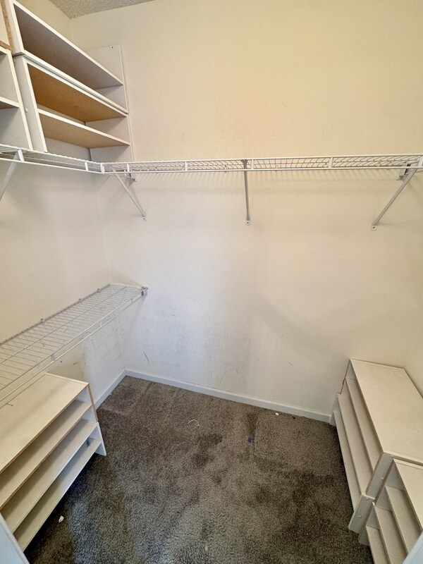 Building Photo - 431 Whitewater Tr