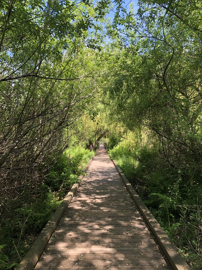 Juanita Bay Park boardwalks - 9911 NE 119th Ct