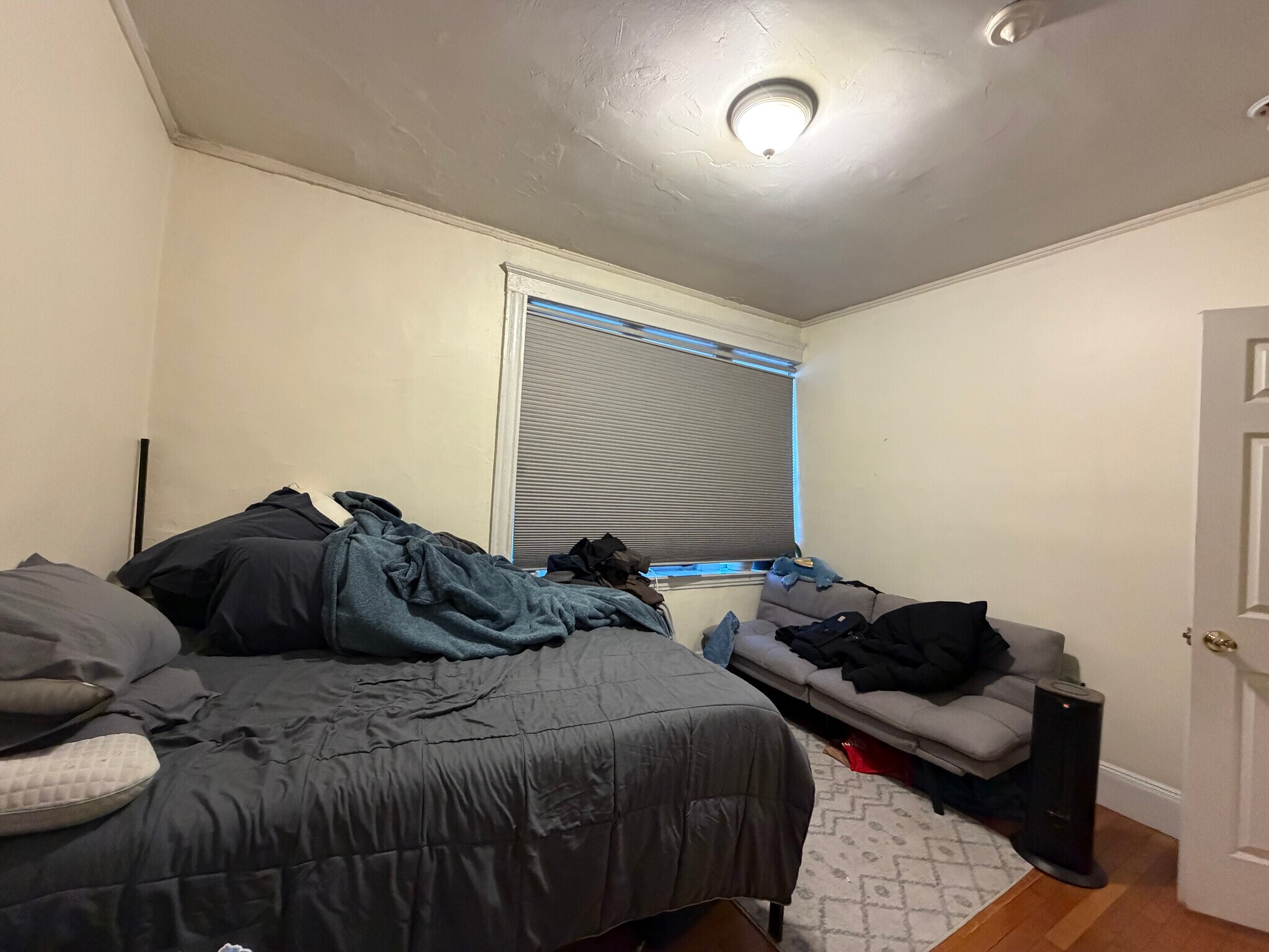 Building Photo - 56 Egmont St