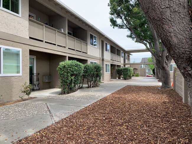 Building Photo - Del Prado II Apartments