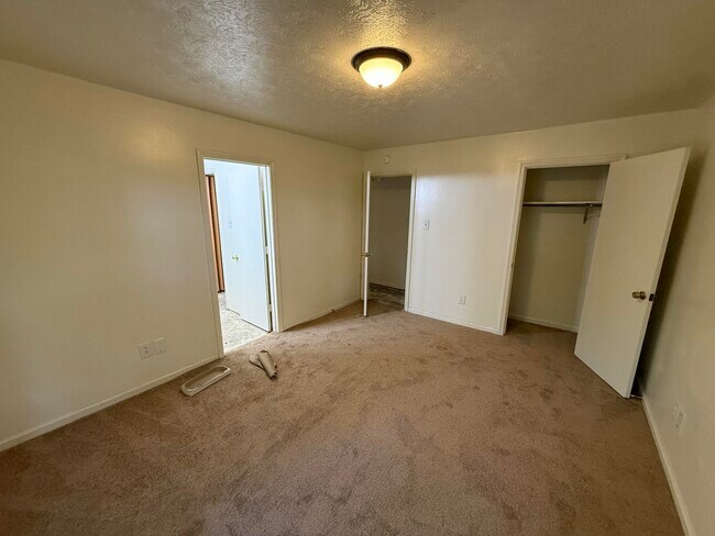 Building Photo - 3309 Colt Ct