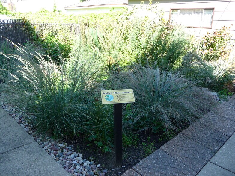 Native Plant Garden/Yard - 2318 W Diversey Ave