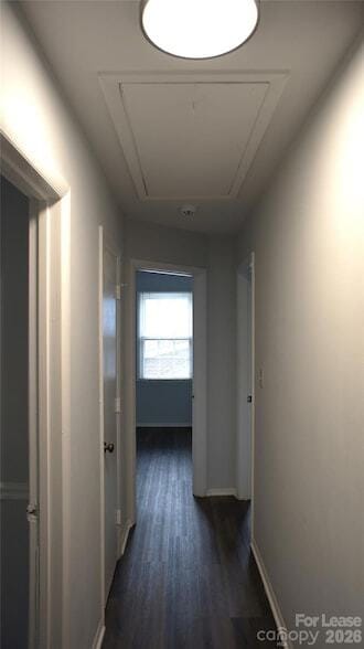 Building Photo - 10000 Ridgemore Dr