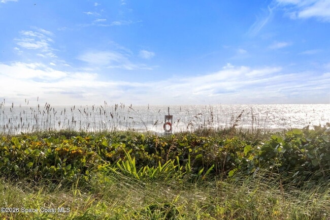 Building Photo - Salt Life