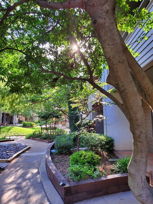 Building Photo - 11140 N Stratford Dr
