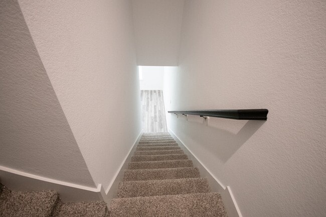 Building Photo - 10217 Berkeley Spgs Trl