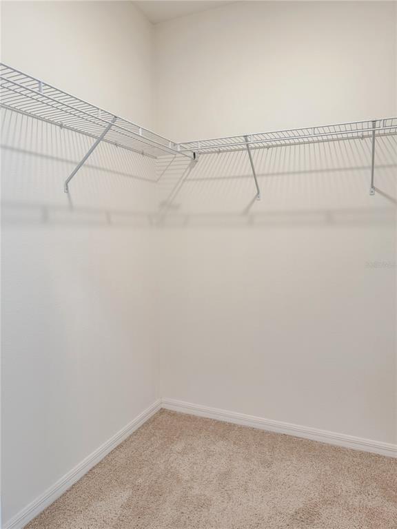 Building Photo - 1805 Rain Lily Pl