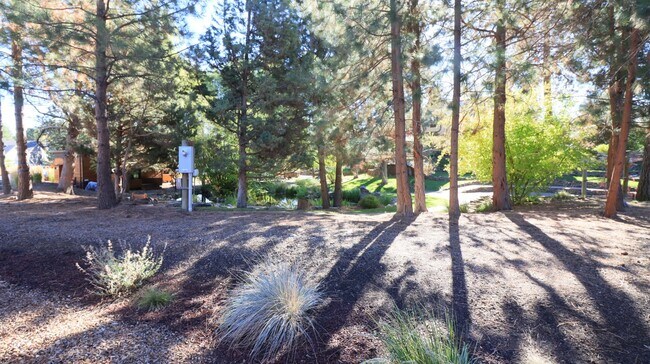 Building Photo - ! Bed 1 Bath Tiny Home