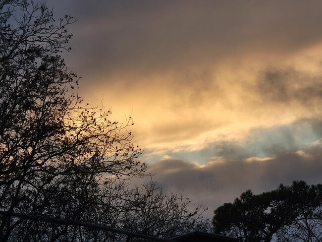 Building Photo - 14212 Shields Bridge Rd