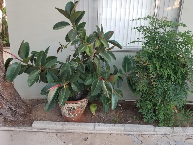 Building Photo - 917 E Madison Ave