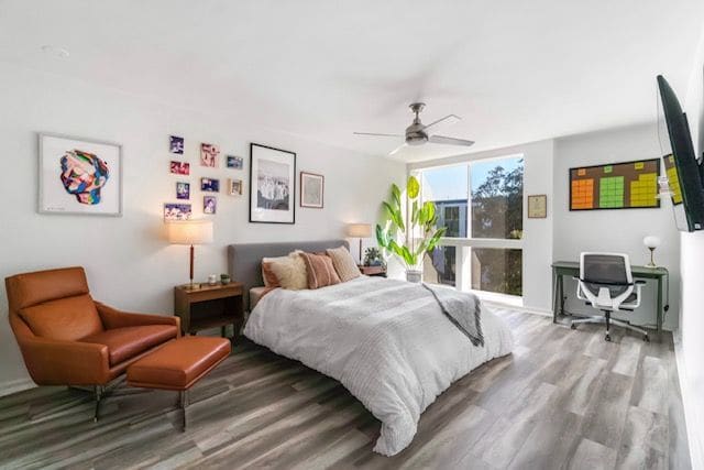 Building Photo - 1015 Kings Rd