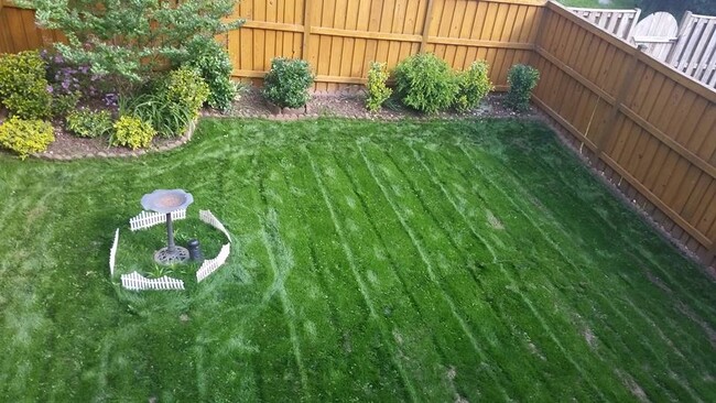 View of the backyard from the deck - 13 Steeple Ct