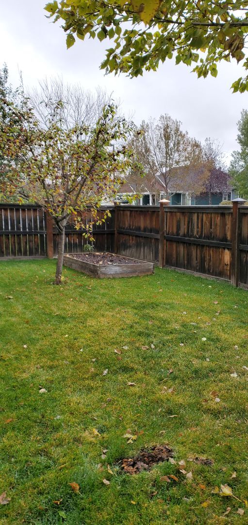 Building Photo - Charming 4-bedroom house in Alder Creek Su...
