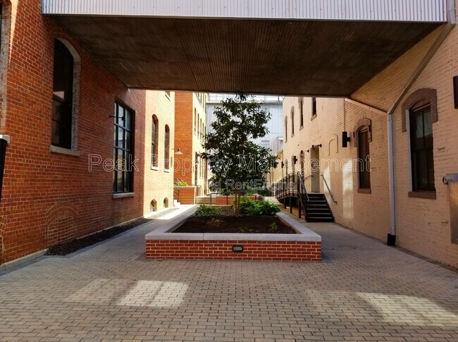 Interior Photo - The Cameron Lofts