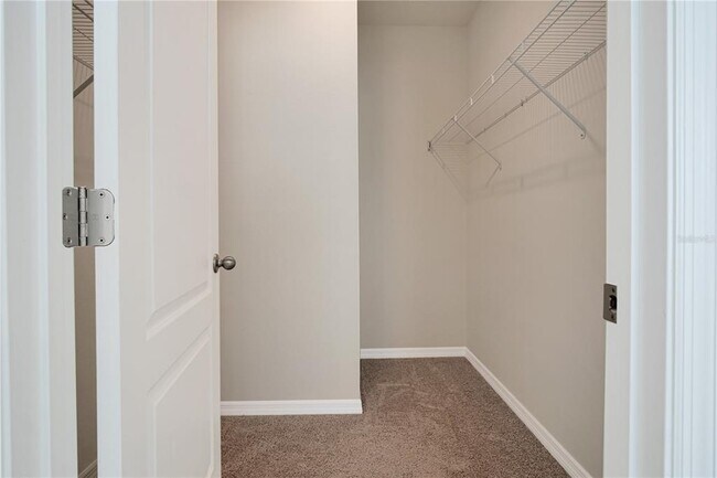 Building Photo - 245 Sofia Ln