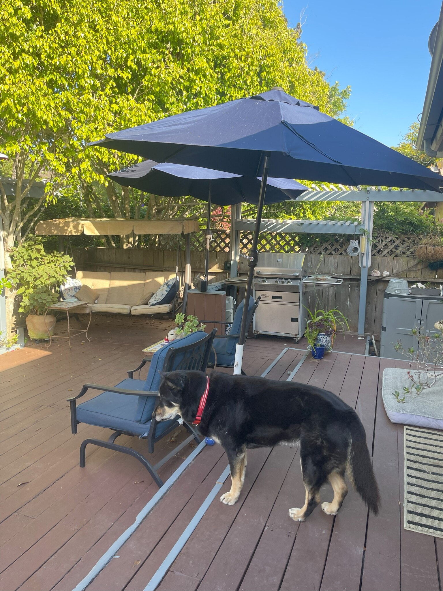 Building Photo - 4495 Caminito Cuarzo