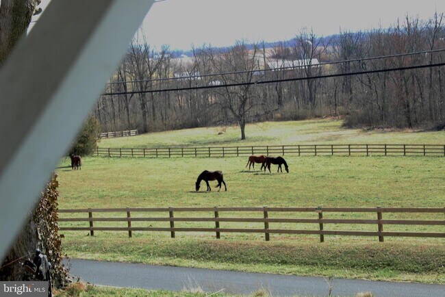Building Photo - 739 S Main St