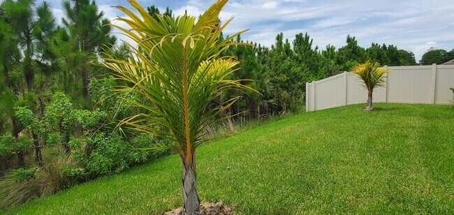Building Photo - 4227 Broomsedge Cir