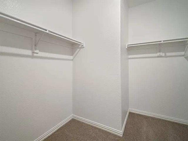 Building Photo - 1617 Rushpea Dr