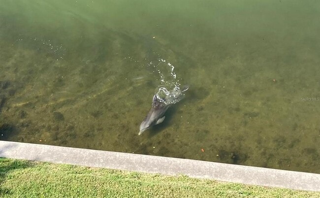 Building Photo - 8800 Bay Pines Blvd