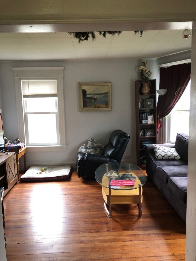 living room 1 - 43 Nichols Ave