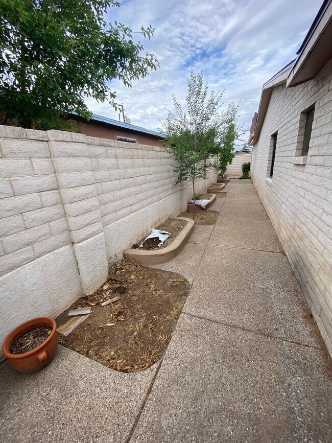 Building Photo - Beautiful 3 Bedroom Home in NE Albuquerque