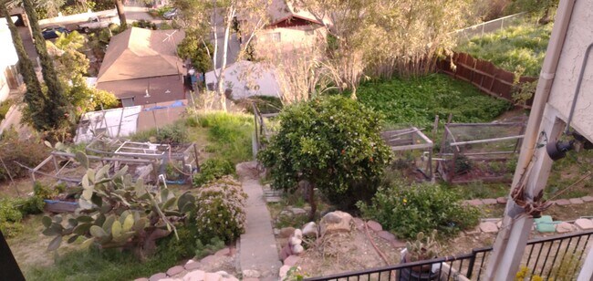 Back Yard - 3214 Johnston St