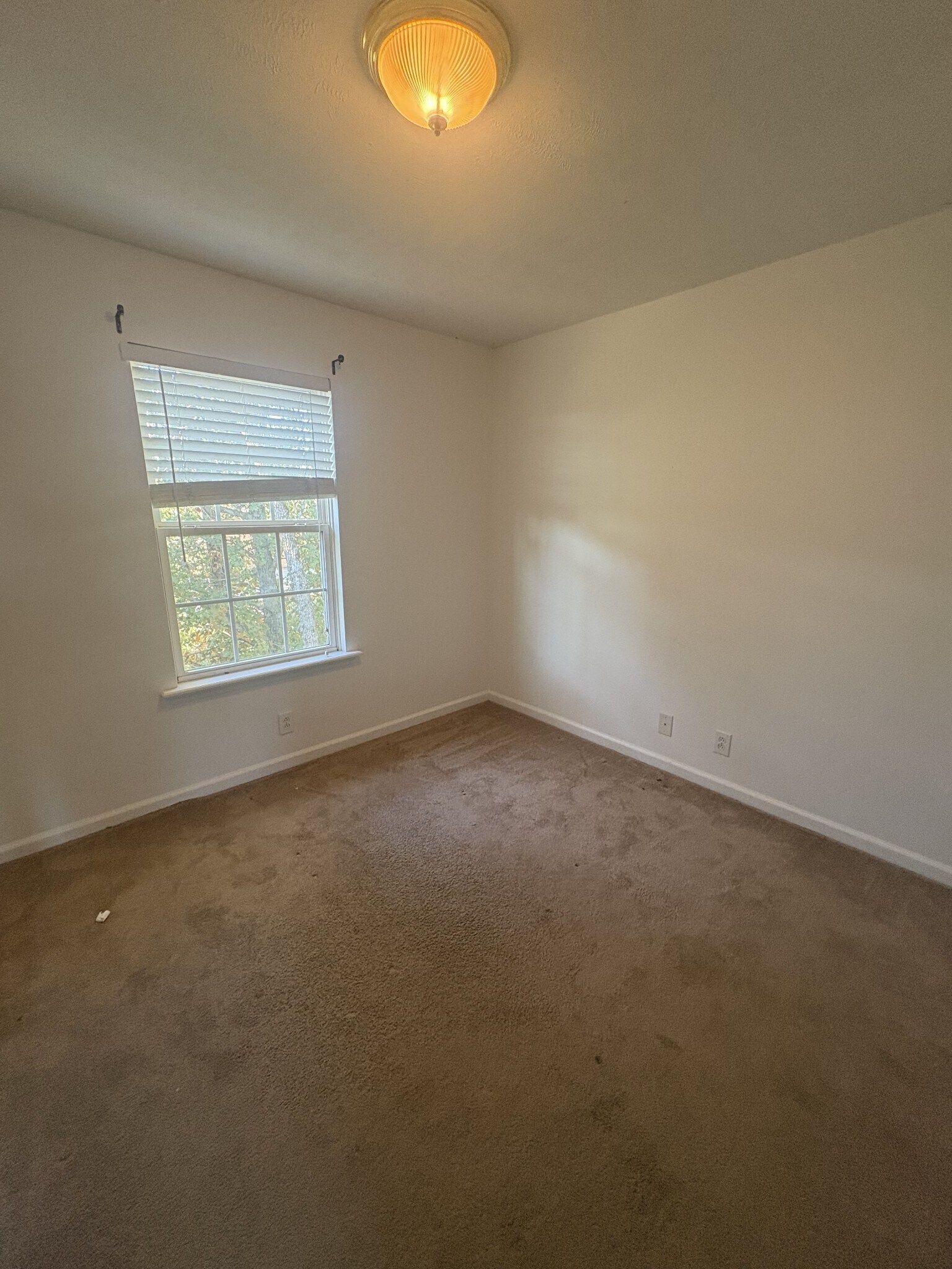 Building Photo - 7165 Legacy Dr