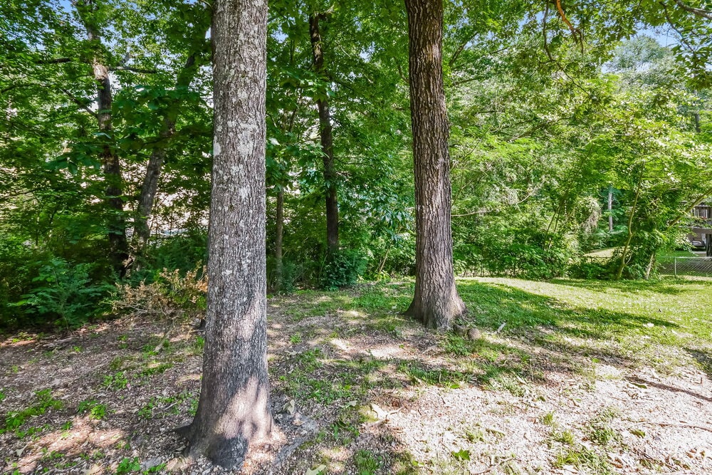 Building Photo - 1121 Sunscape Cir