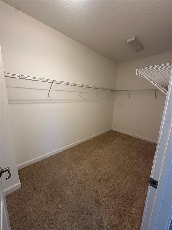 Building Photo - 10132 Lovegrass Ln