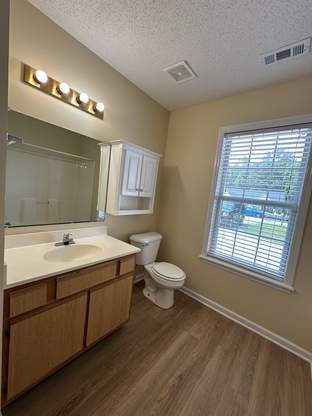 Building Photo - Charming 3 Bedroom Home with 2 Full Baths -305 Firethorn Ln.