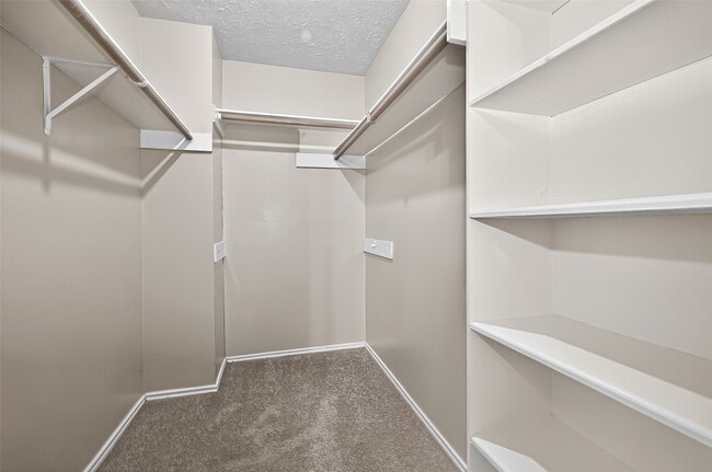 Building Photo - 1926 Woodland Hills Dr