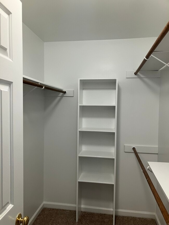 Building Photo - 3008 Isabella Dr