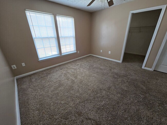 Building Photo - 4927 Bristle Cone Cir