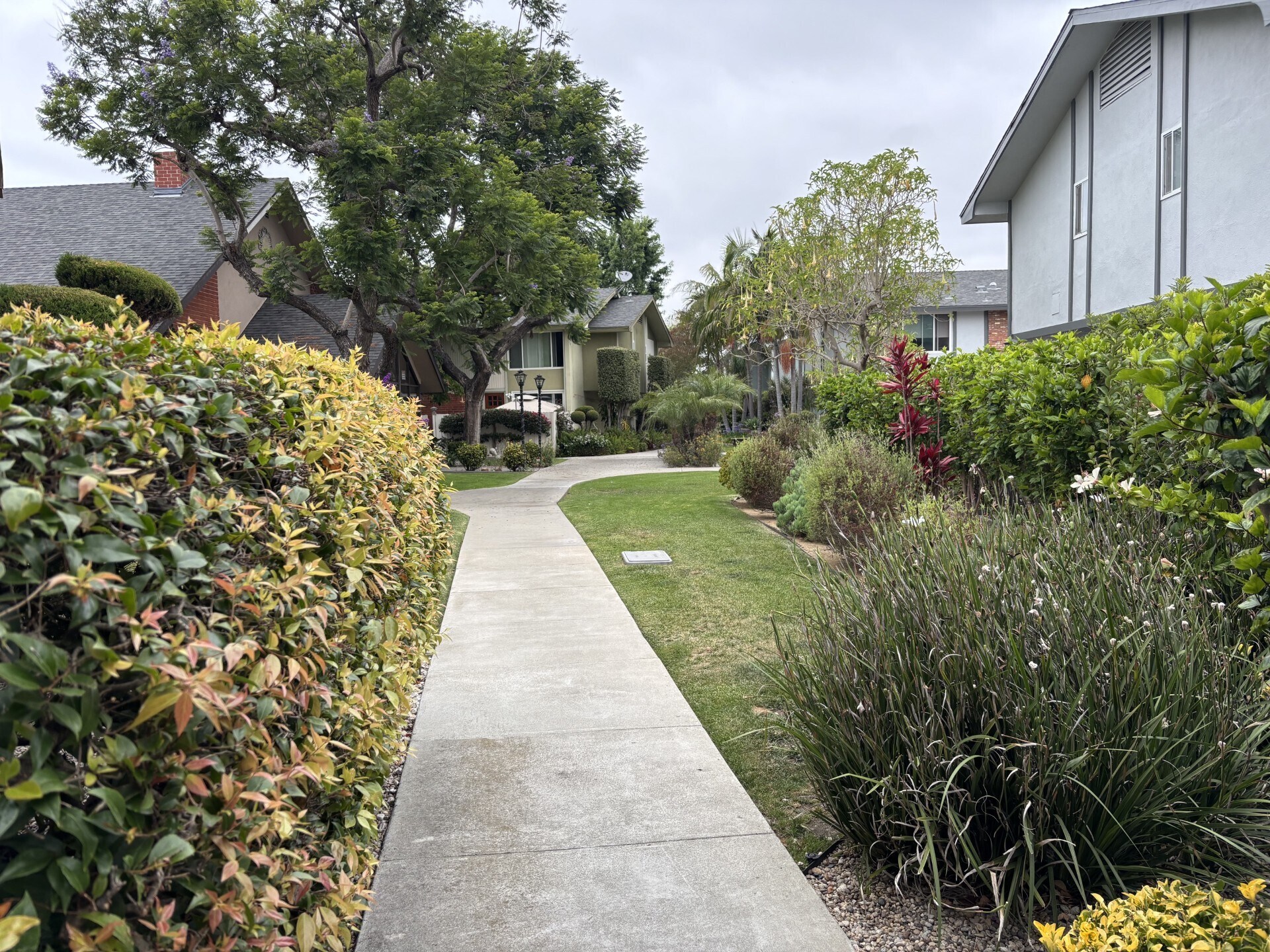 Beautiful Grounds - 5215 Sepulveda Blvd