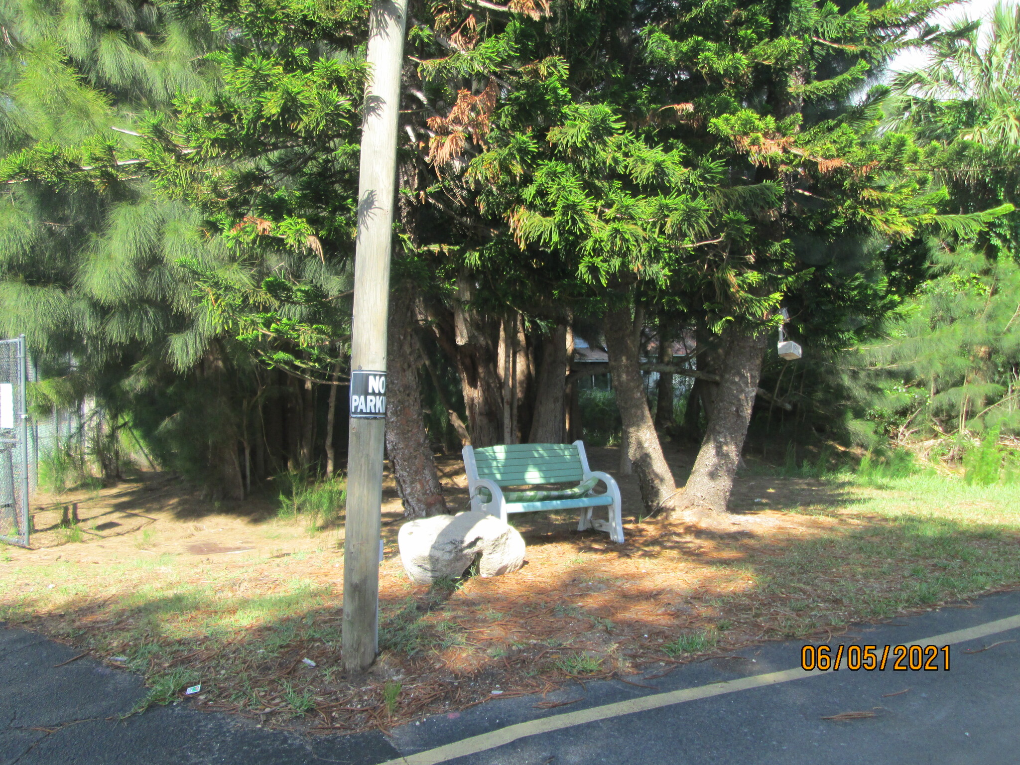 Parklike Sitting Area - 205 Palmetto Ave