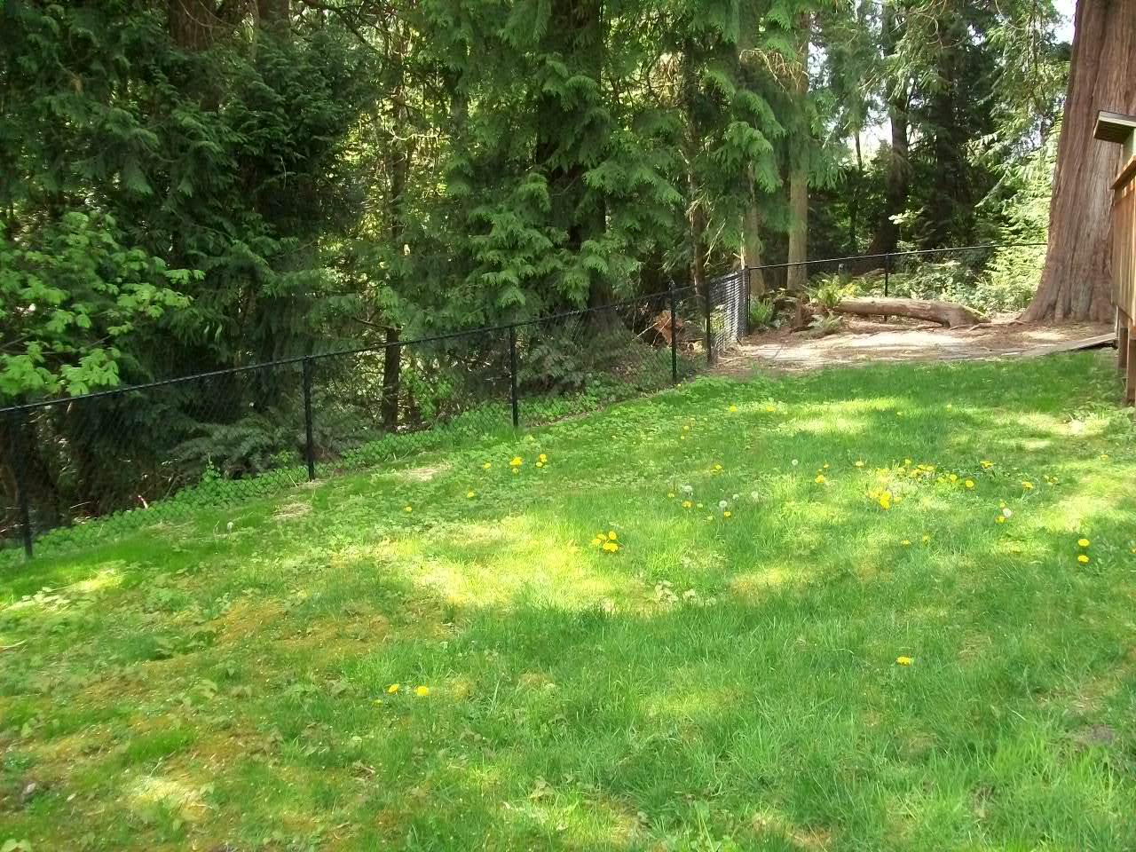 Back yard - 2133 NW Mulholland Blvd