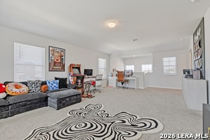 Building Photo - 3610 Copper Horse