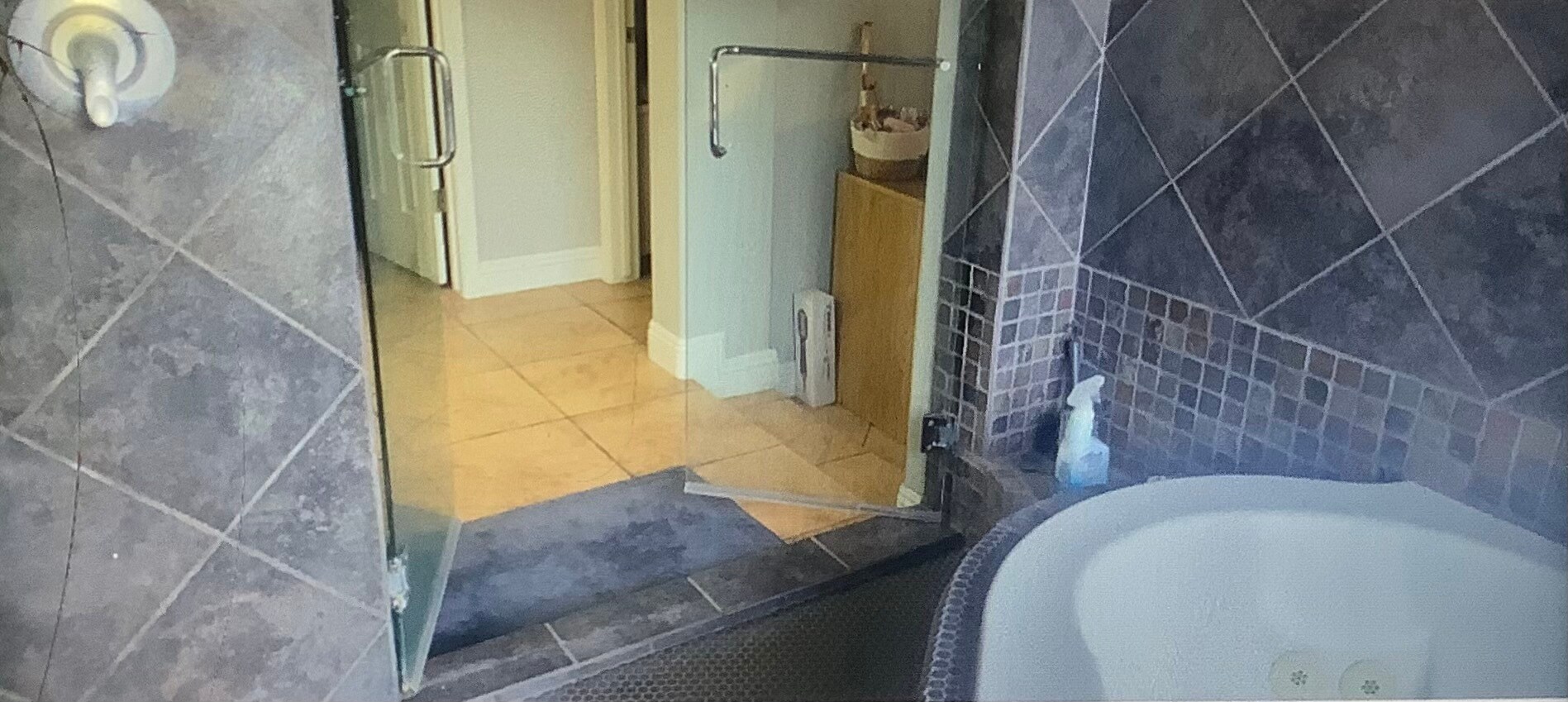 Walk-in spa room - 1502 E Estrid Ave