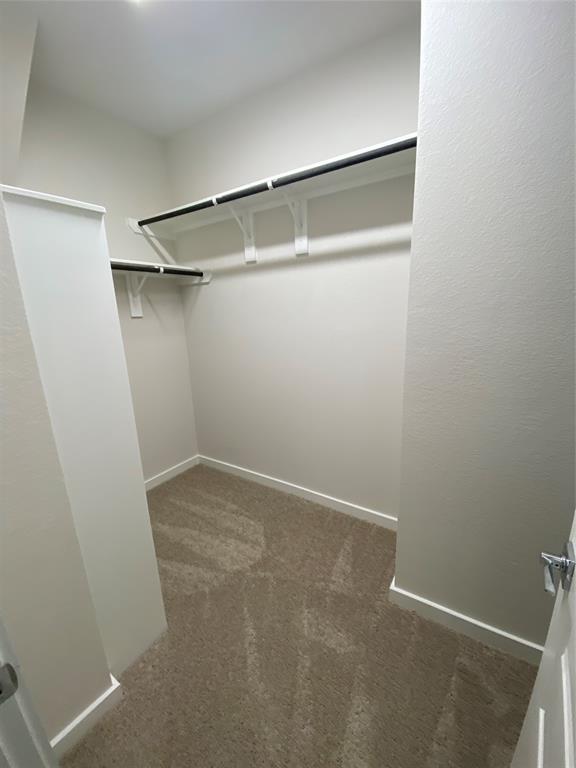 Building Photo - 40414 Gerygone Ln