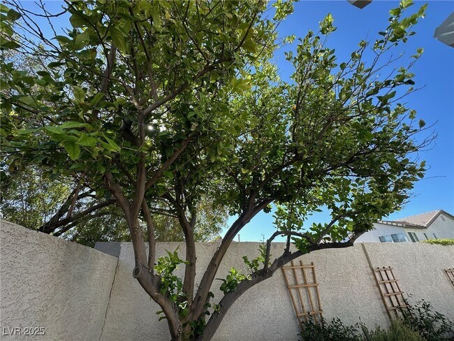 Building Photo - 7944 Quail Harbor St
