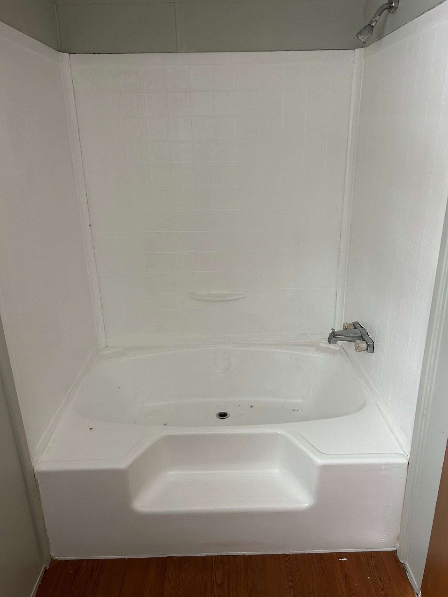 Master bathroom tub - 489 Vanzant Rd