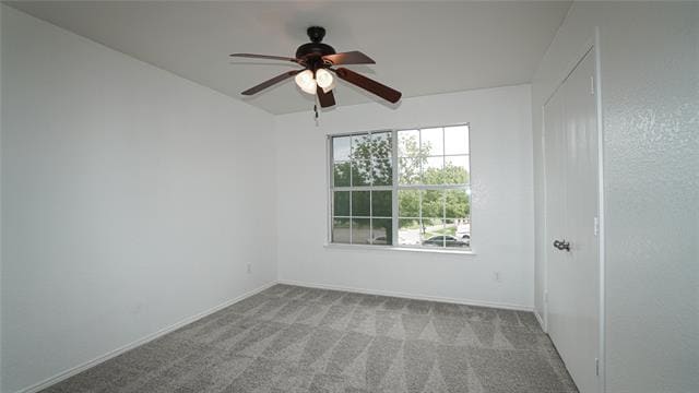Building Photo - 4006 Collin Ct