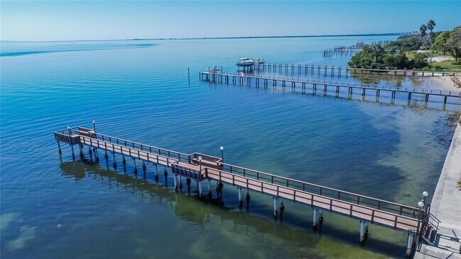 Building Photo - 650 Pinellas Point Dr S