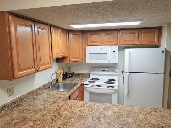 Large and Bright Kitchen - 222 W Beaver Ave